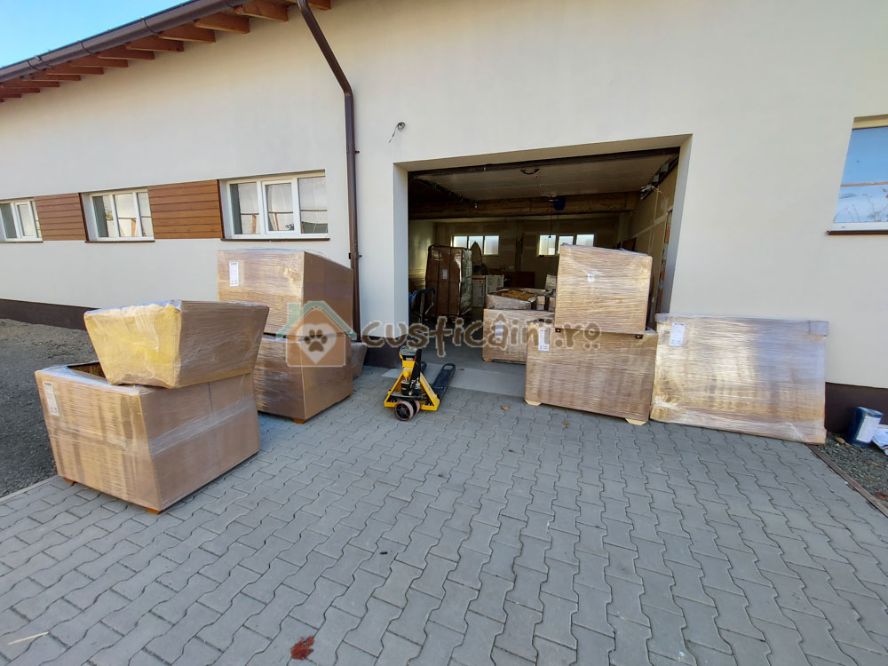 Custi caini pregatite pentru expediere